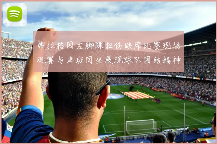 弗拉格因左脚踝扭伤缺席比赛现场观赛与库班同坐展现球队团结精神