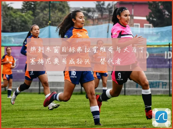 热刺冬窗目标弗拉霍维奇与大马丁塞梅尼奥或成孙兴慜替代者