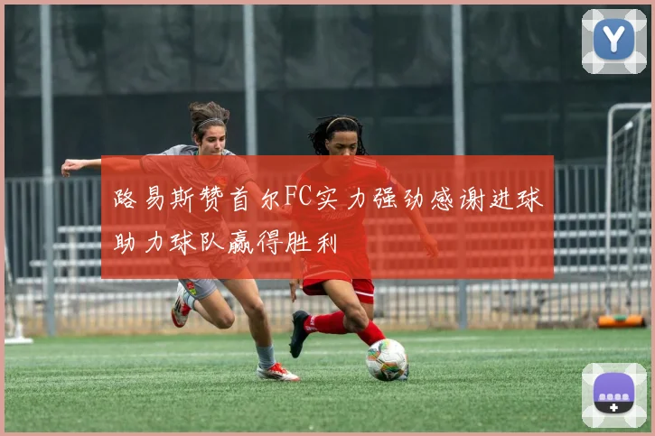路易斯赞首尔FC实力强劲感谢进球助力球队赢得胜利