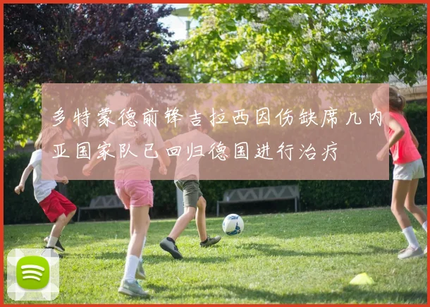 多特蒙德前锋吉拉西因伤缺席几内亚国家队已回归德国进行治疗